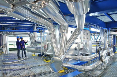 心動龍江，共贏未來 亞布力之夜點亮計算機網絡科技新篇章