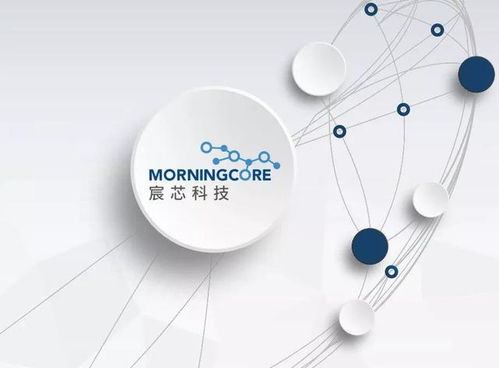 西海岸數(shù)字經(jīng)濟產(chǎn)業(yè)新篇章 300余家企業(yè)匯聚，技術(shù)開發(fā)引領(lǐng)未來