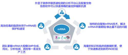 創(chuàng)新競爭2.0 國內(nèi)頭部藥企如何借力計算機網(wǎng)絡(luò)科技重塑研發(fā)格局